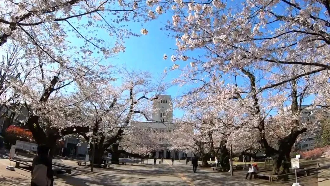 東京工業大學